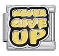 silver_never_give_up_quote